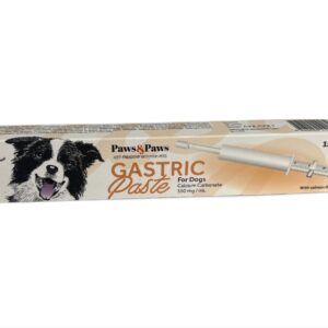 Gastric paste